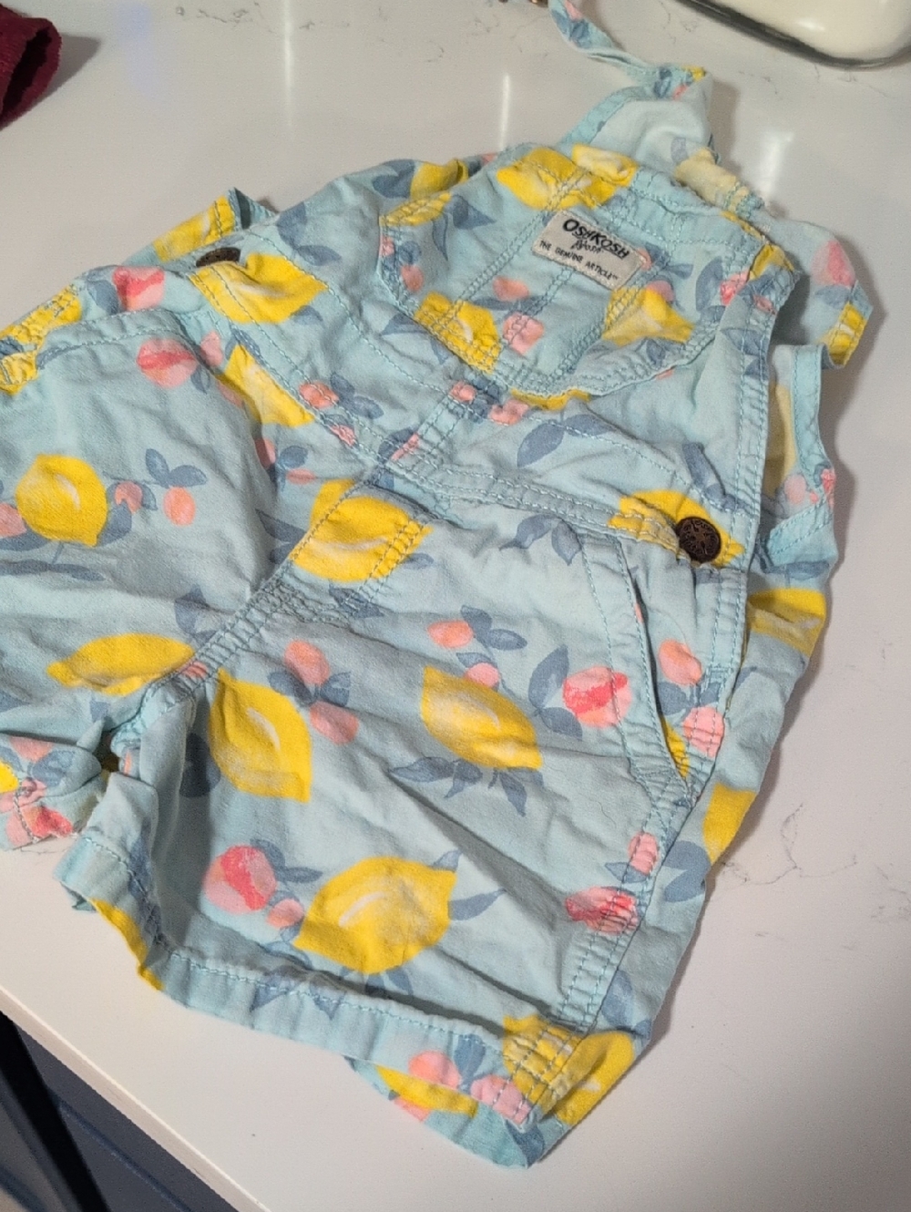 OshKosh B'gosh Light Blue Lemon & Pink Fruit Shortalls